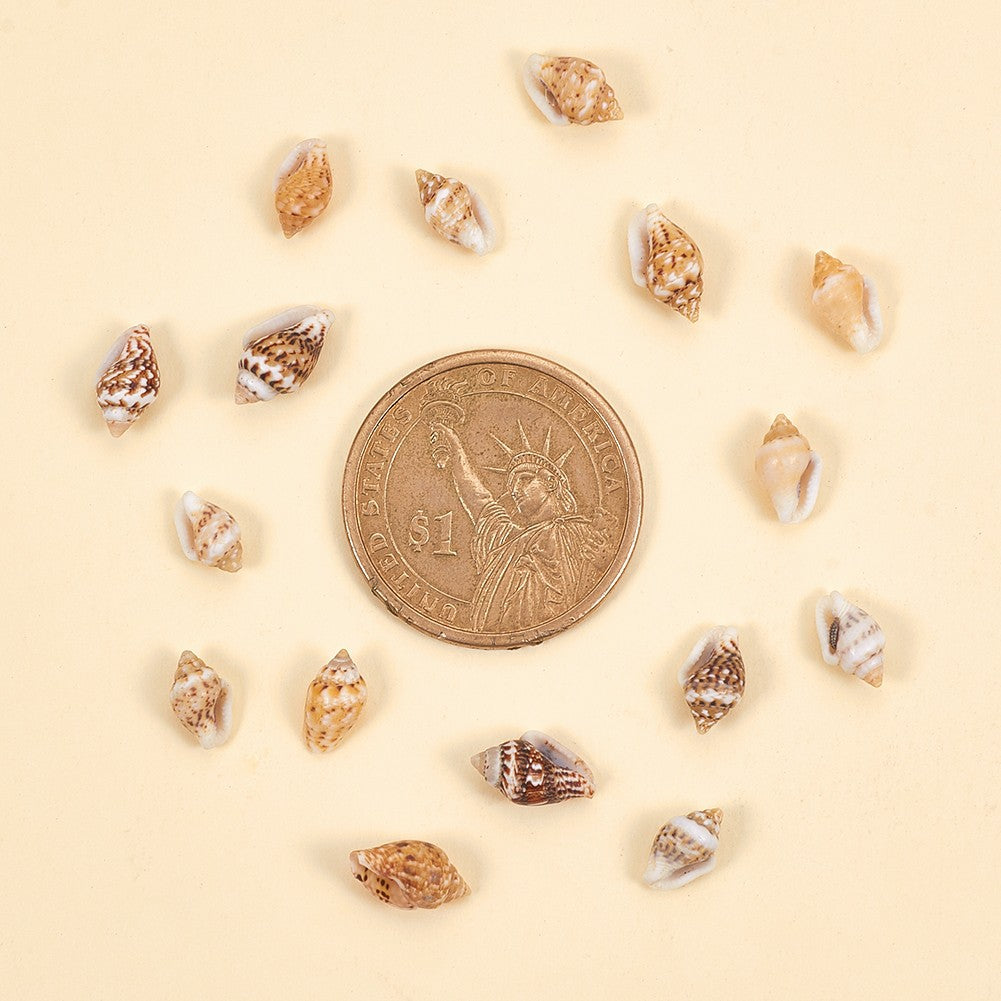 Wholesale Non-porous Natural Shell Small Conch Lemon Color Beads